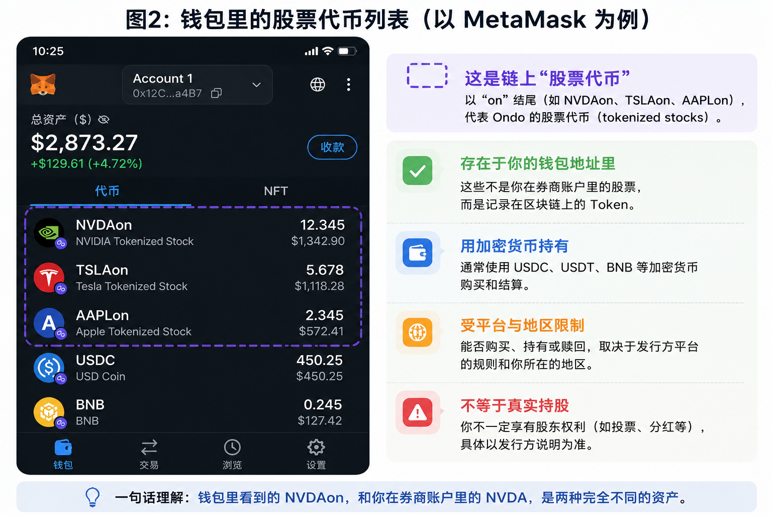 钱包股票代币列表示意图，展示NVDAon、TSLAon、AAPLon与传统美股持仓的区别